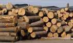 Doanh nghiệp đồ gỗ đạt doanh thu cao từ thị trường nội địa